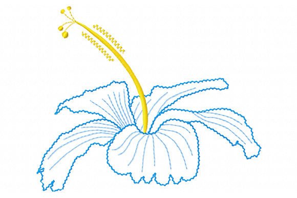 Charming Hibiscus: A Tropical Touch for Gifts