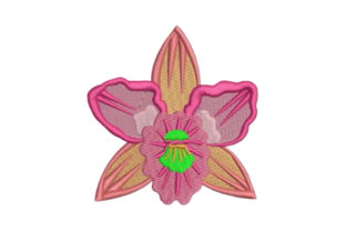 Orchid: A Delicate Touch for Business Merchandise