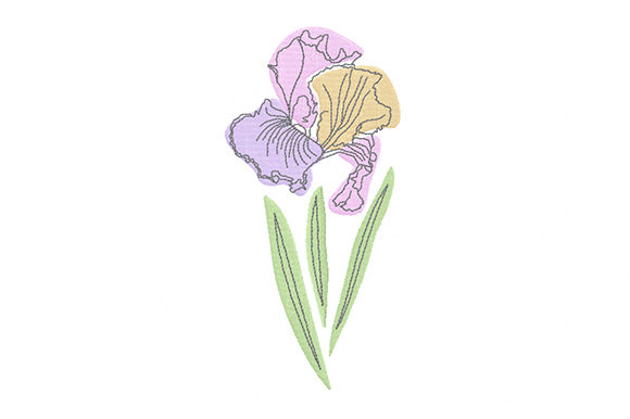 Pastel Iris Flower: A Delicate Touch for Any Season