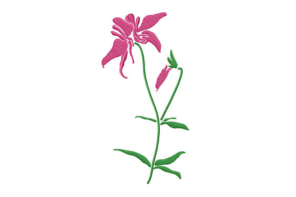 Pink Columbine Flower: A Charming Addition